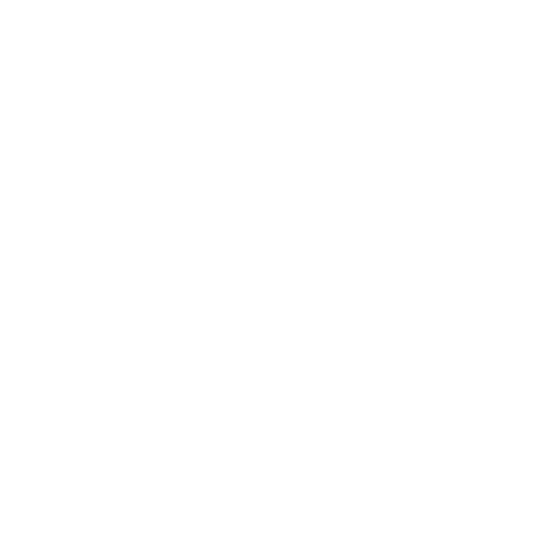 Typoscript